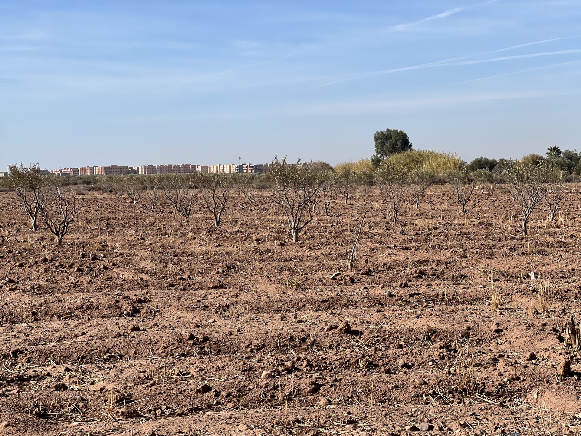Terrain villa 5,8 ha à vendre, Route Amizmiz, Marrakech — miniature 2