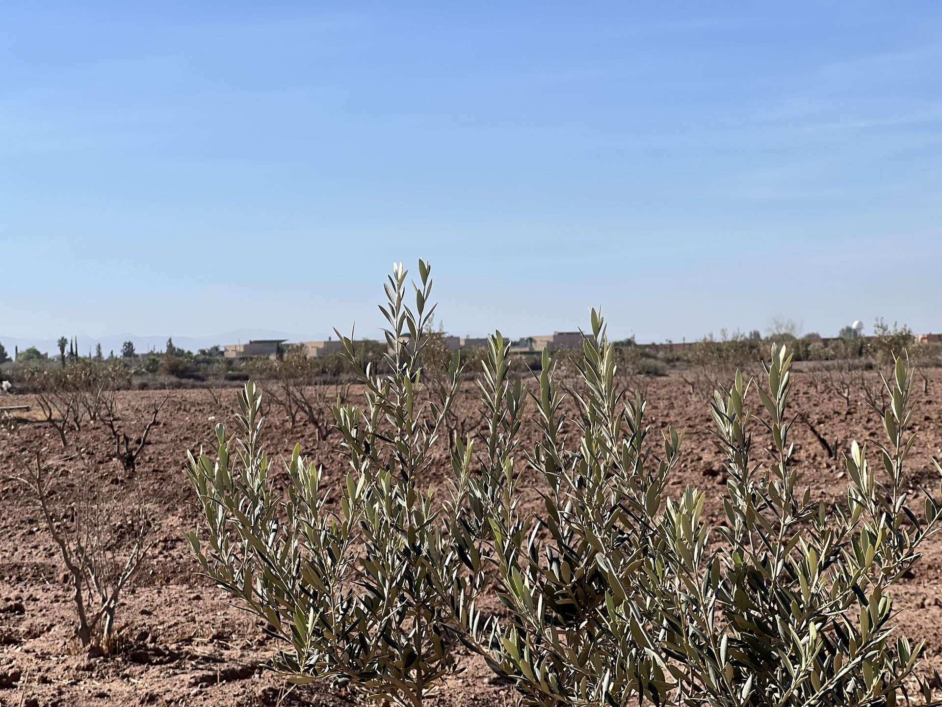 Terrain villa 5,8 ha à vendre, Route Amizmiz, Marrakech — miniature 4