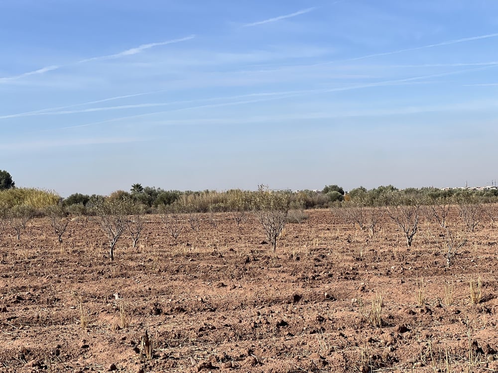 Terrain villa 5,8 ha à vendre, Route Amizmiz, Marrakech — photo 5