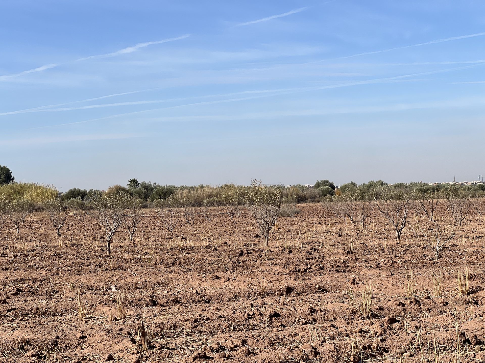 Terrain villa 5,8 ha à vendre, Route Amizmiz, Marrakech — miniature 5