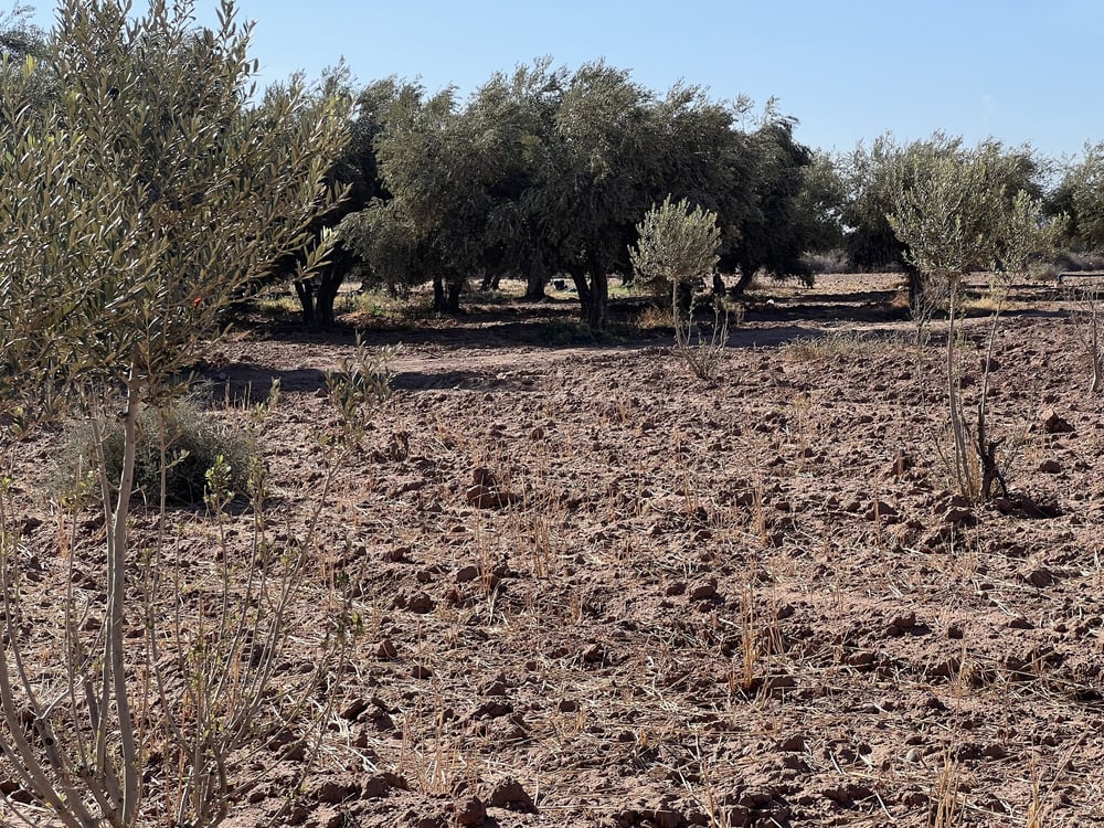 Terrain villa 5,8 ha à vendre, Route Amizmiz, Marrakech — photo 6