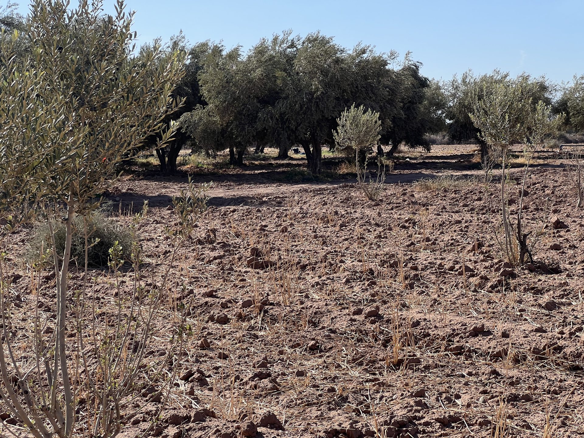 Terrain villa 5,8 ha à vendre, Route Amizmiz, Marrakech — miniature 6