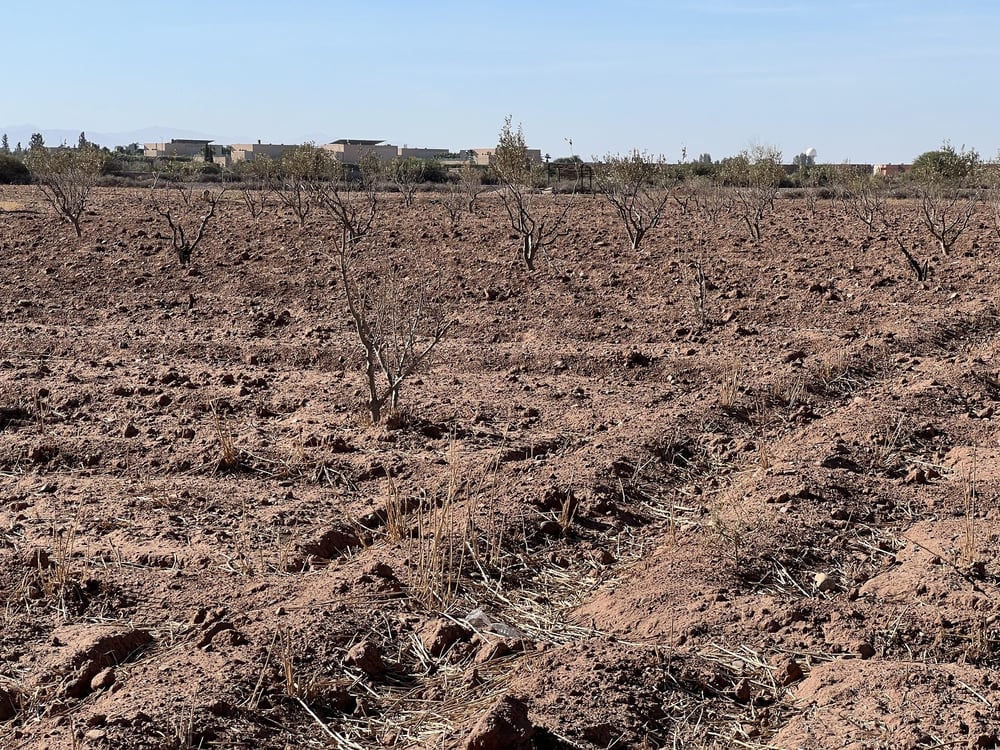 Terrain villa 5,8 ha à vendre, Route Amizmiz, Marrakech — photo 7