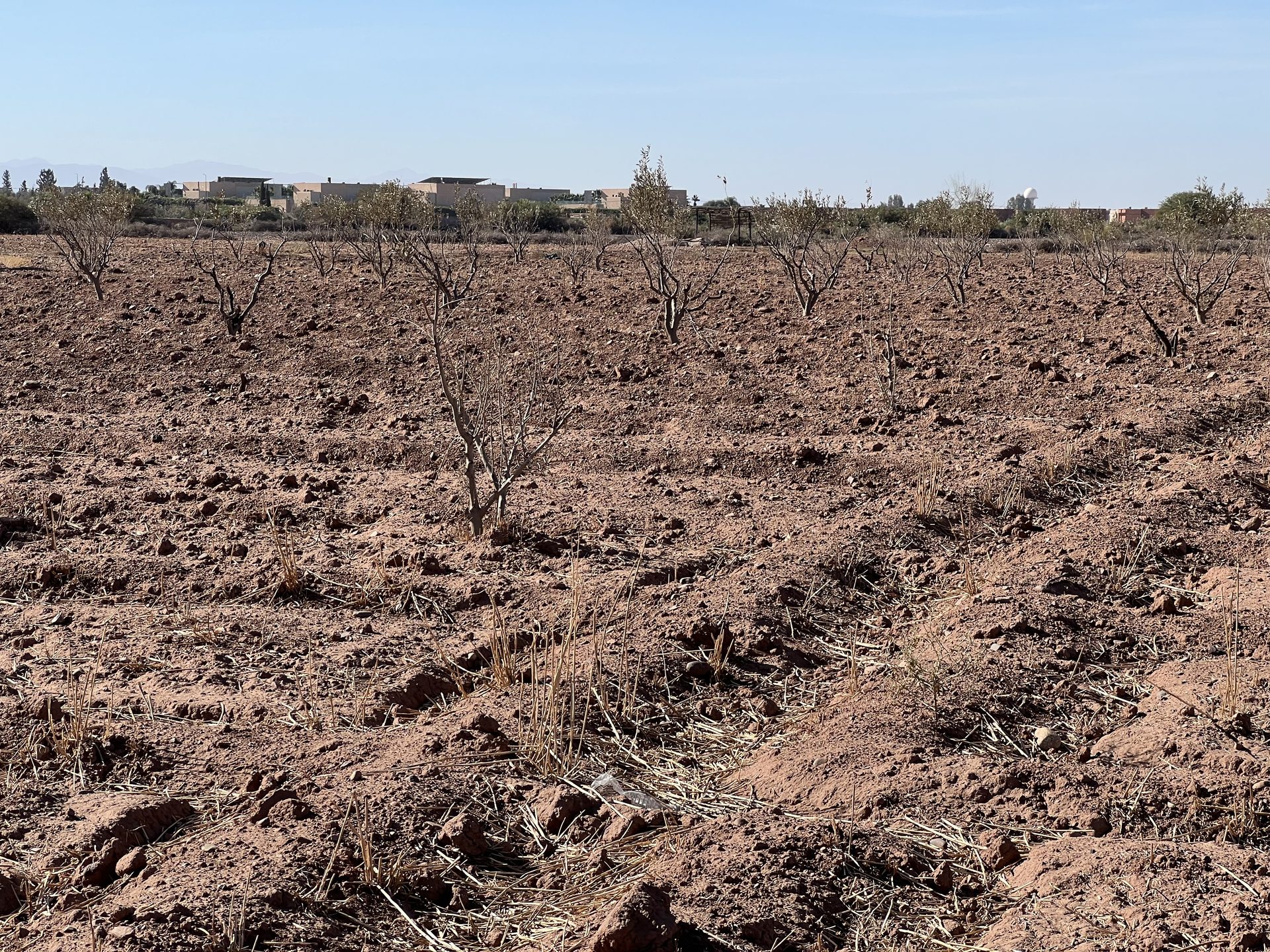 Terrain villa 5,8 ha à vendre, Route Amizmiz, Marrakech — miniature 7