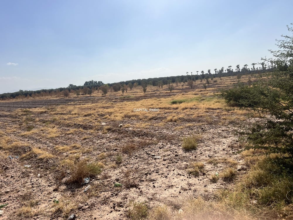 Terrain GH2/SD1 à vendre, 12 ha, Route Tahanaoute, Marrakech — photo 2