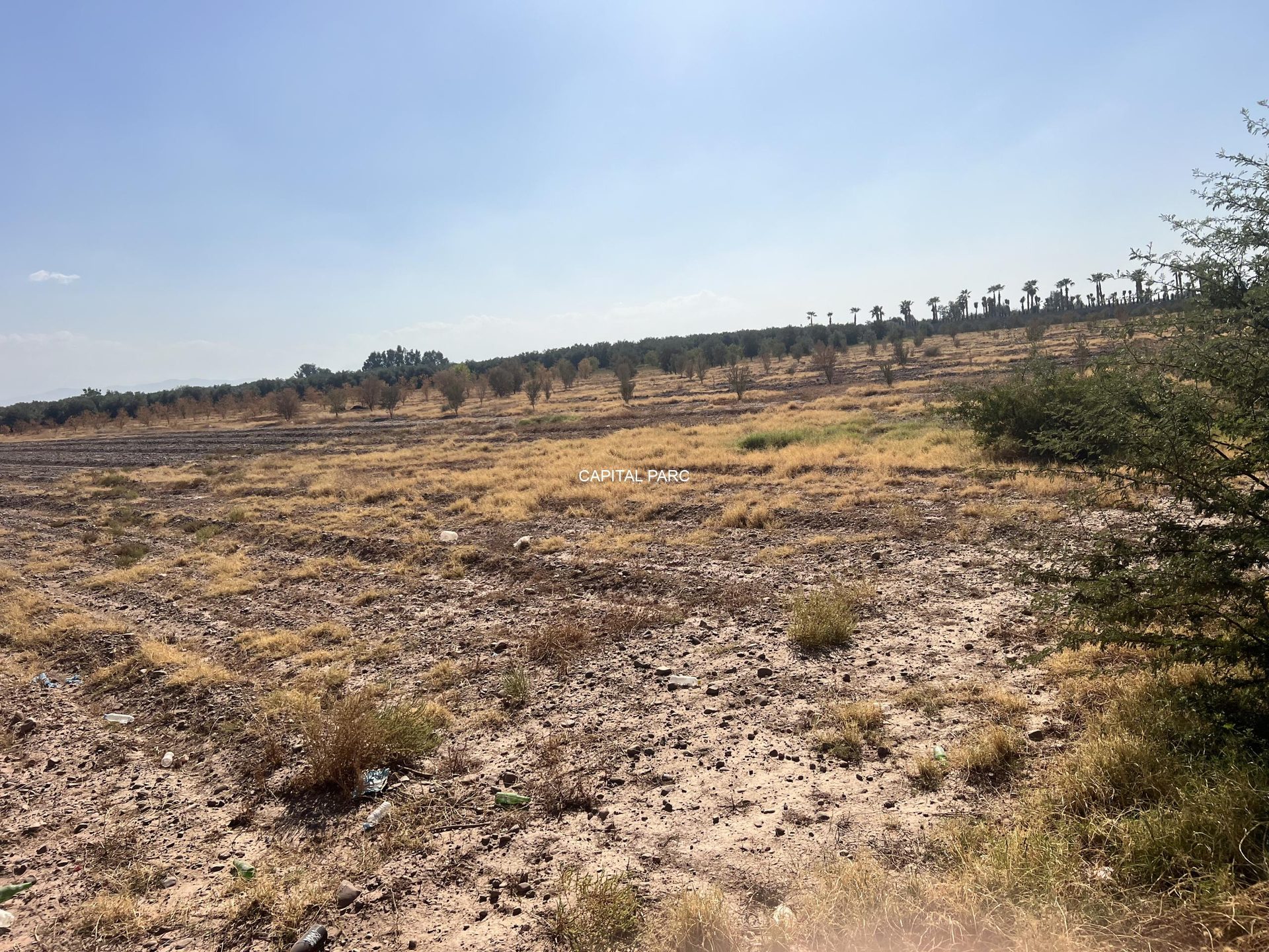Terrain GH2/SD1 à vendre, 12 ha, Route Tahanaoute, Marrakech — miniature 2