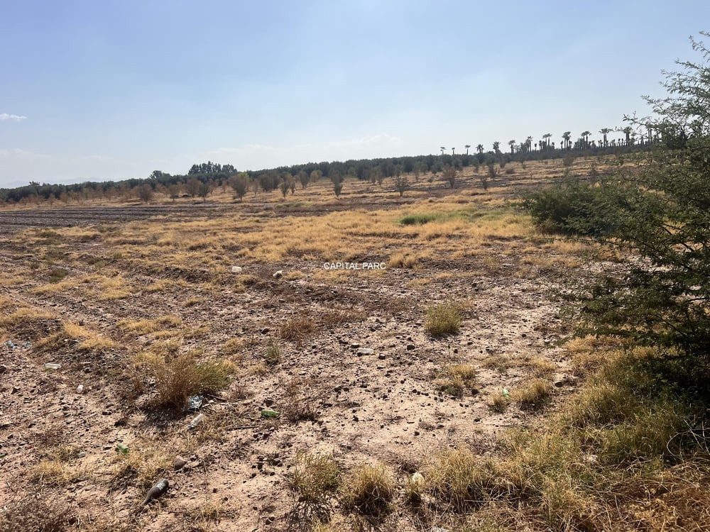 Terrain GH2/SD1 à vendre, 12 ha, Route Tahanaoute, Marrakech — photo 3