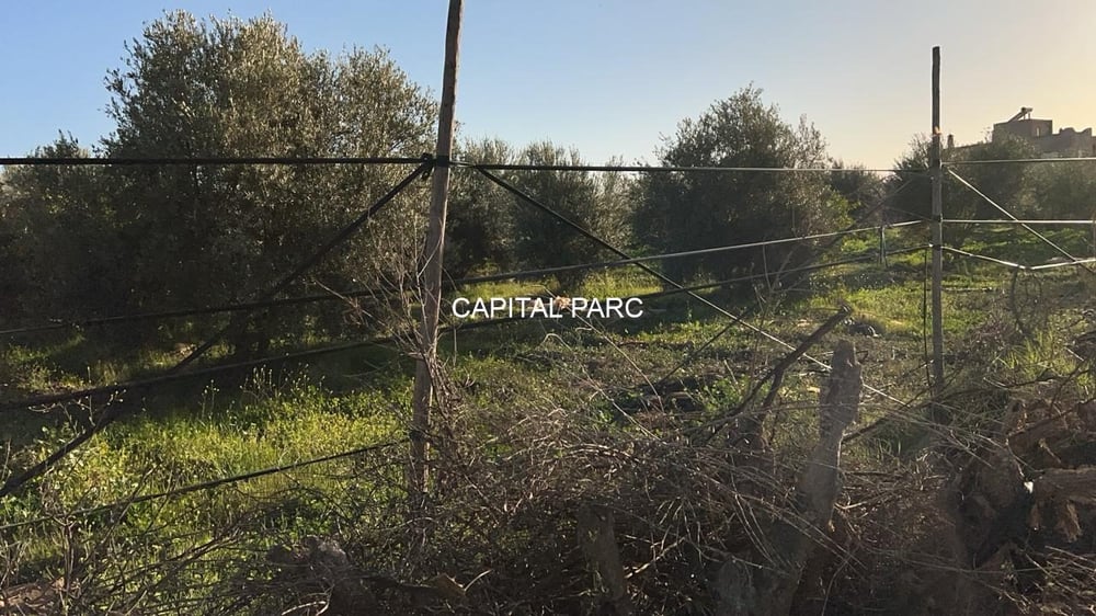 Terrain zone villa 3,5 ha à vendre, Route de Tahanaout, Marrakech — photo 2