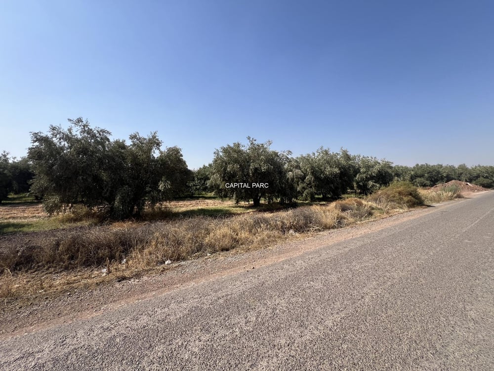 Terrain zone villa à vendre, 11,18 ha, route de Tahanaout, Marrakech — photo 2