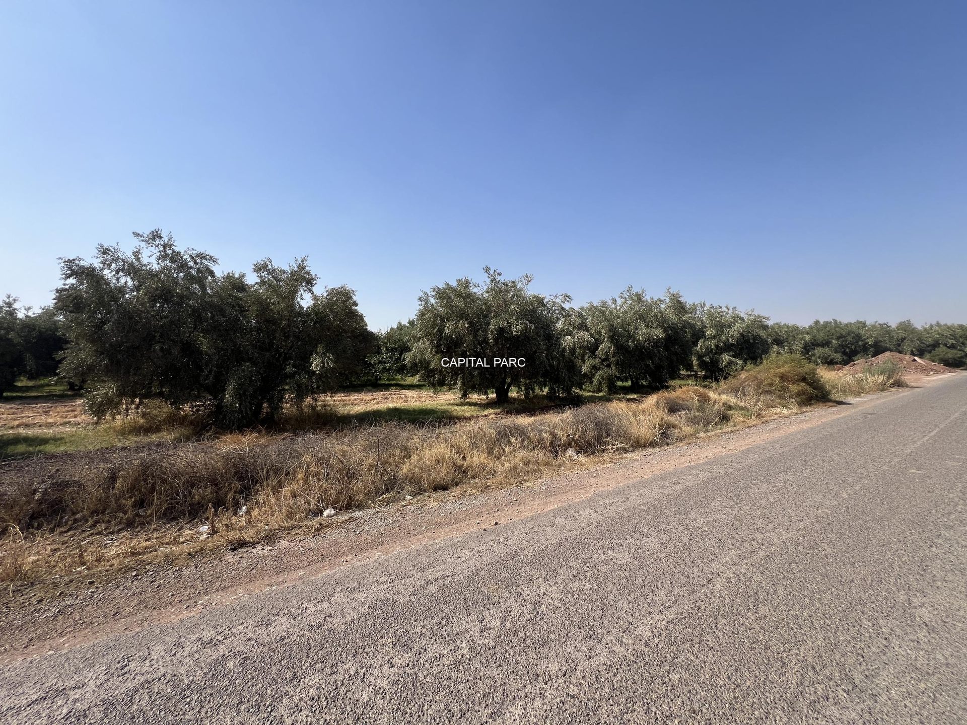 Terrain zone villa à vendre, 11,18 ha, route de Tahanaout, Marrakech — miniature 2