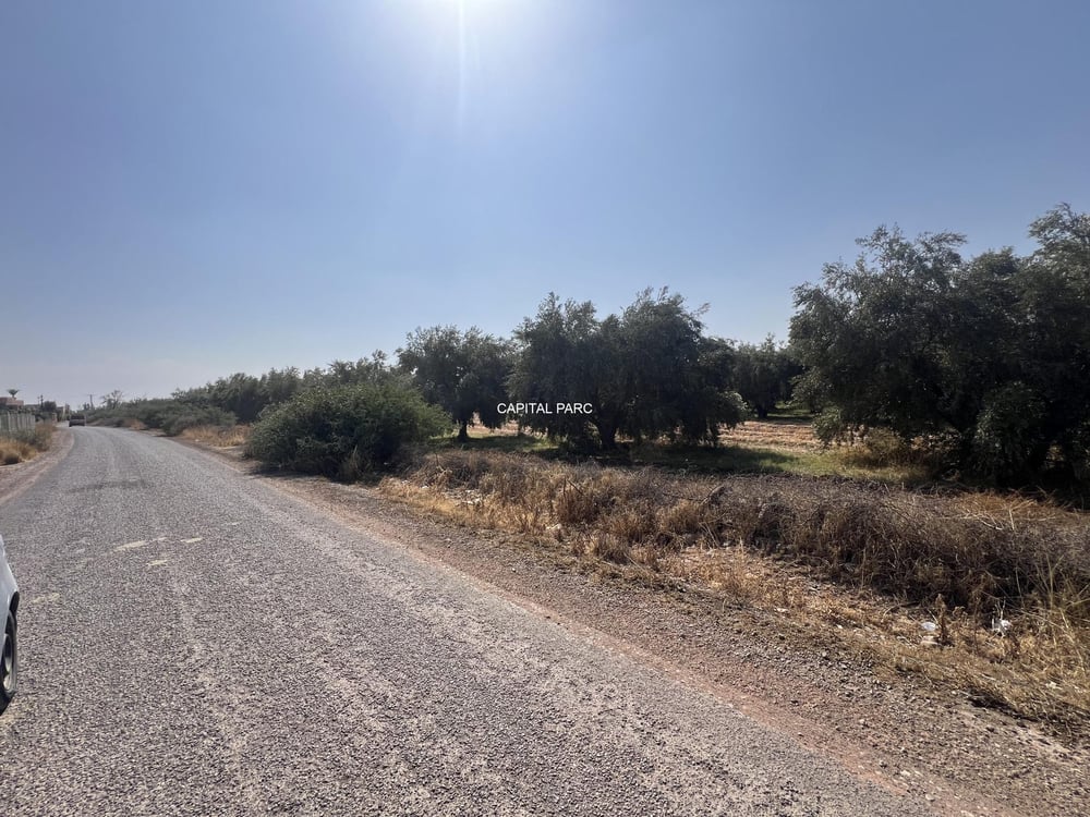 Terrain zone villa à vendre, 11,18 ha, route de Tahanaout, Marrakech — photo 3