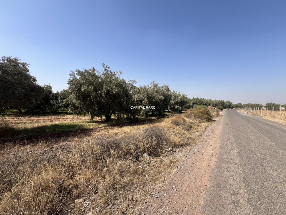 Terrain zone villa à vendre, 11,18 ha, route de Tahanaout, Marrakech — photo 4