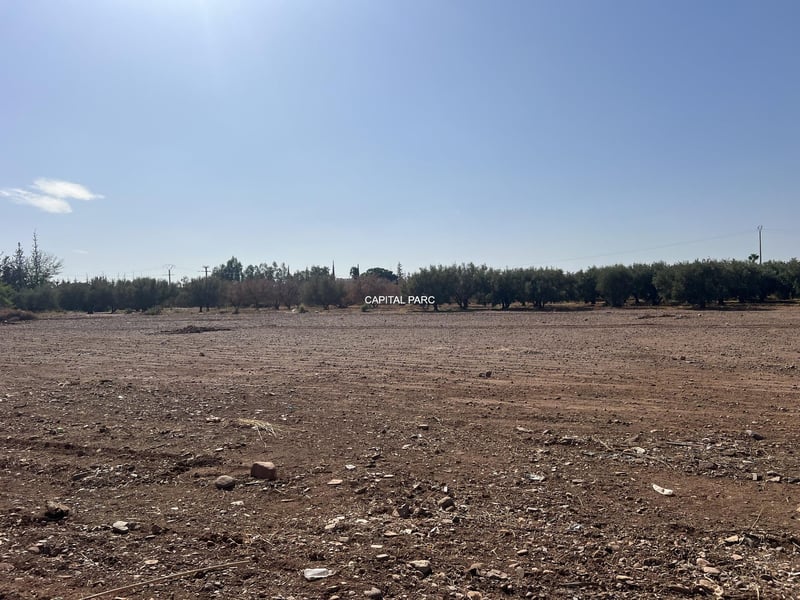 Terrain constructible 2, 8 ha à vendre, route Ourika, Marrakech — Terrain, Ourika