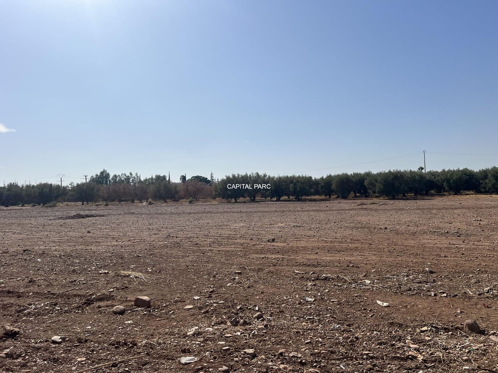 Terrain constructible 2,8 ha à vendre, route Ourika, Marrakech — photo 2