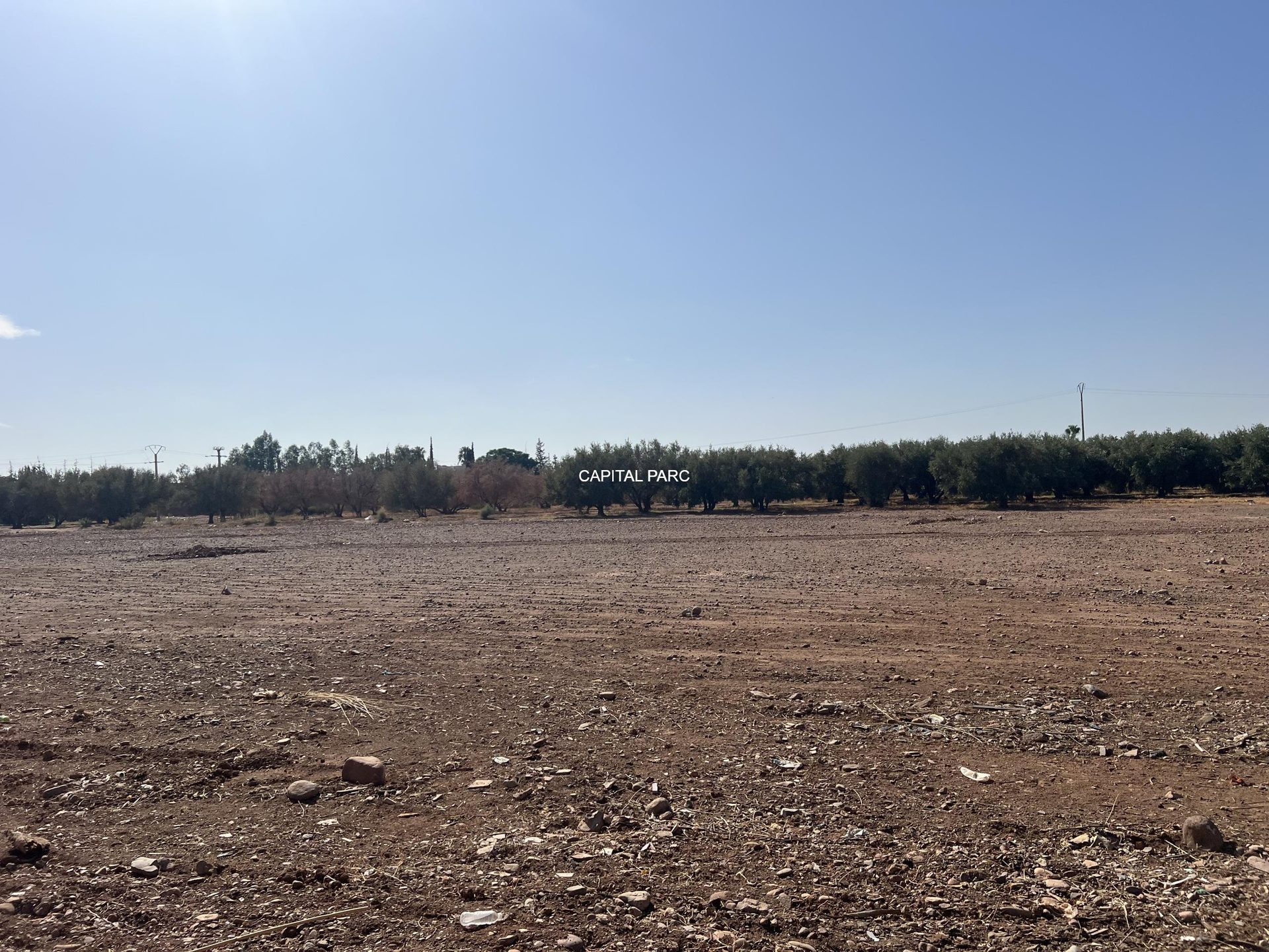 Terrain constructible 2,8 ha à vendre, route Ourika, Marrakech — miniature 2