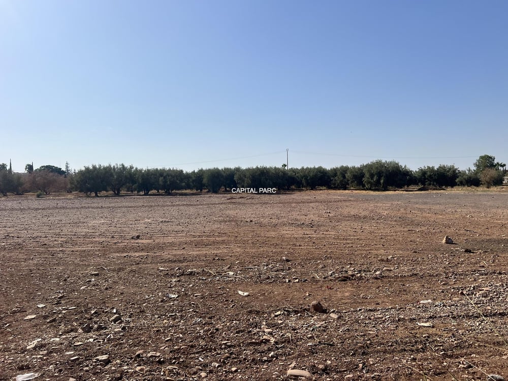Terrain constructible 2,8 ha à vendre, route Ourika, Marrakech — photo 3