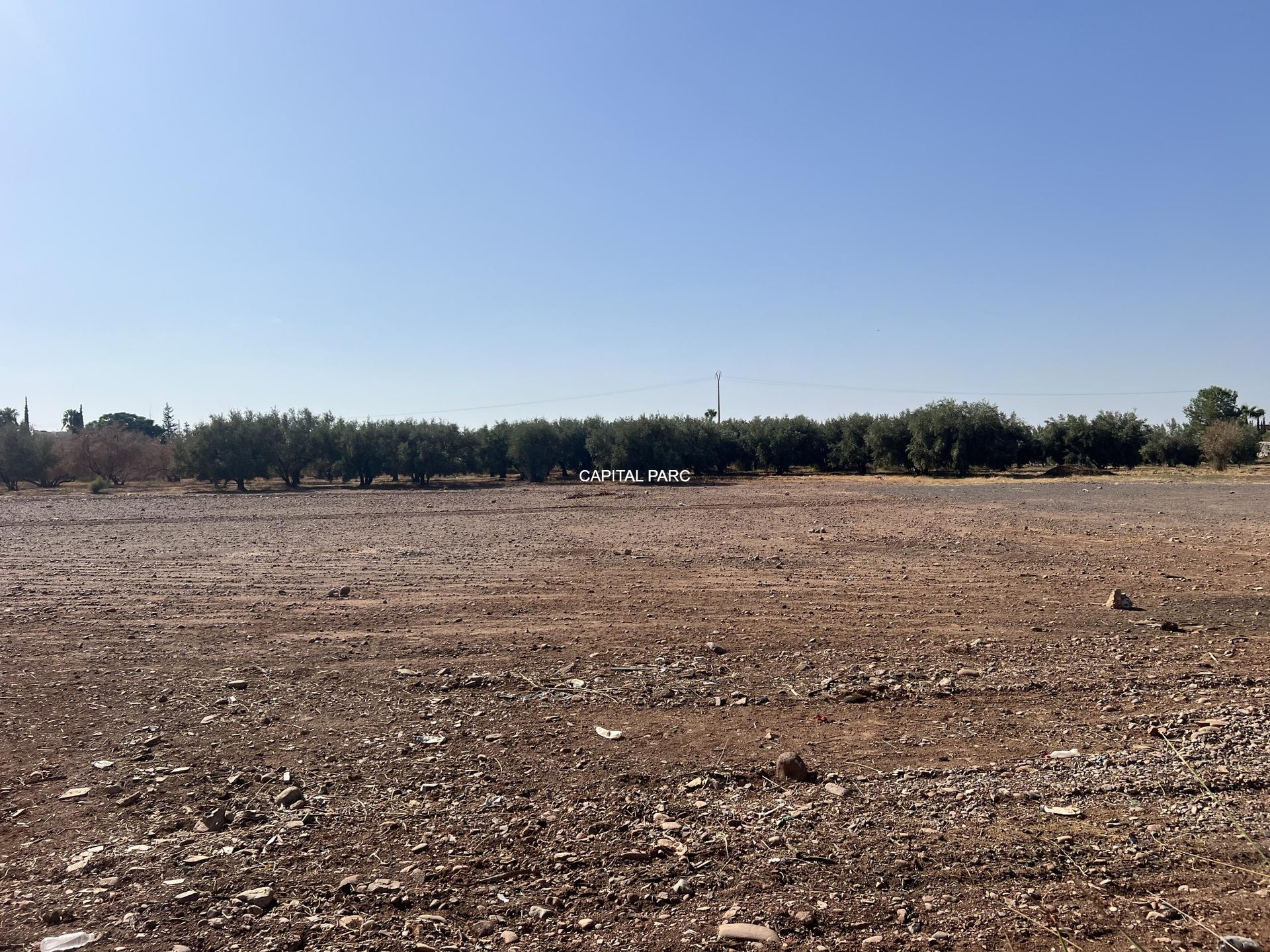 Terrain constructible 2,8 ha à vendre, route Ourika, Marrakech — miniature 3
