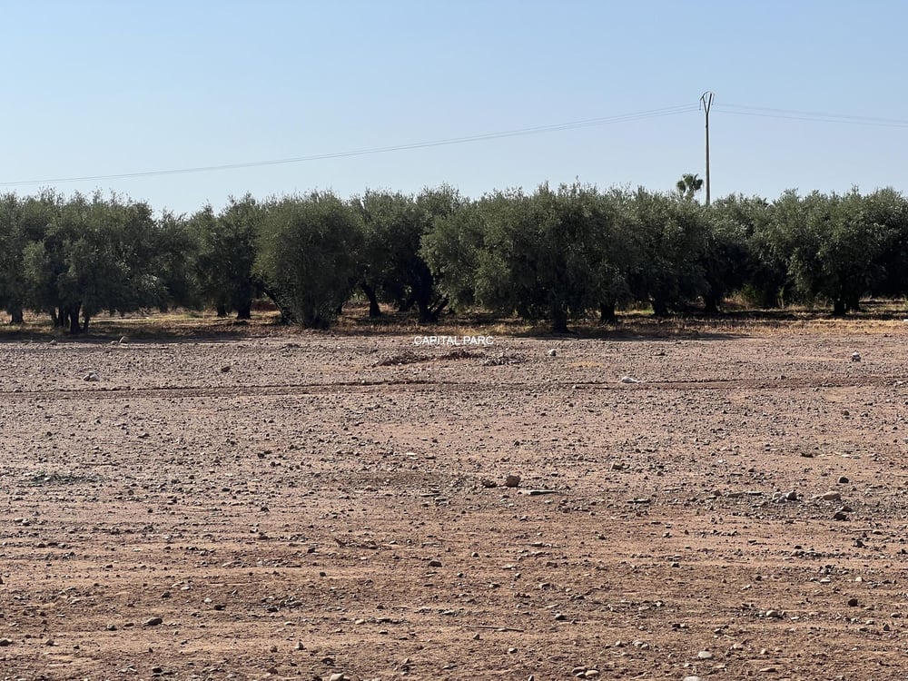 Terrain constructible 2,8 ha à vendre, route Ourika, Marrakech — photo 4