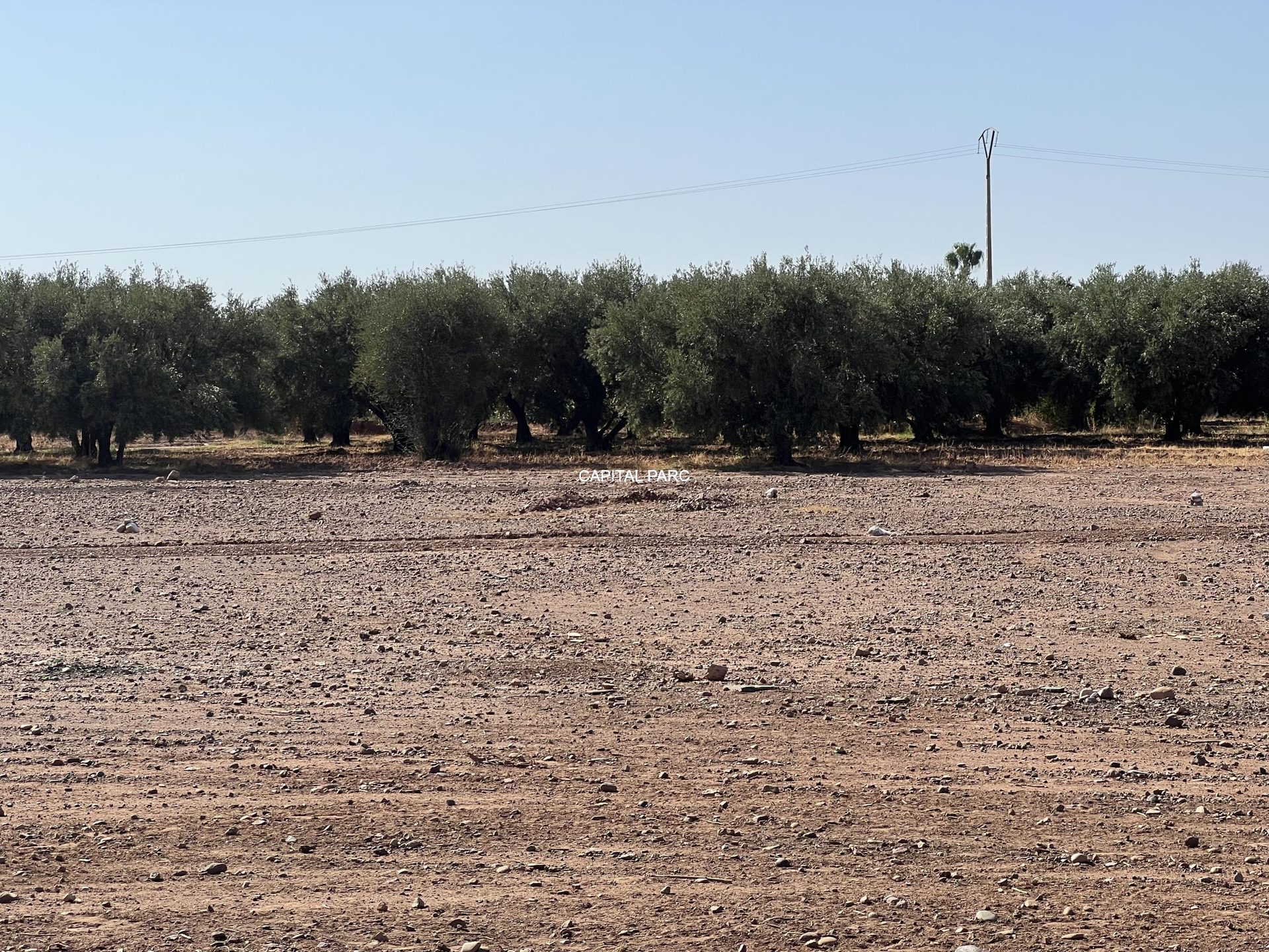 Terrain constructible 2,8 ha à vendre, route Ourika, Marrakech — miniature 4