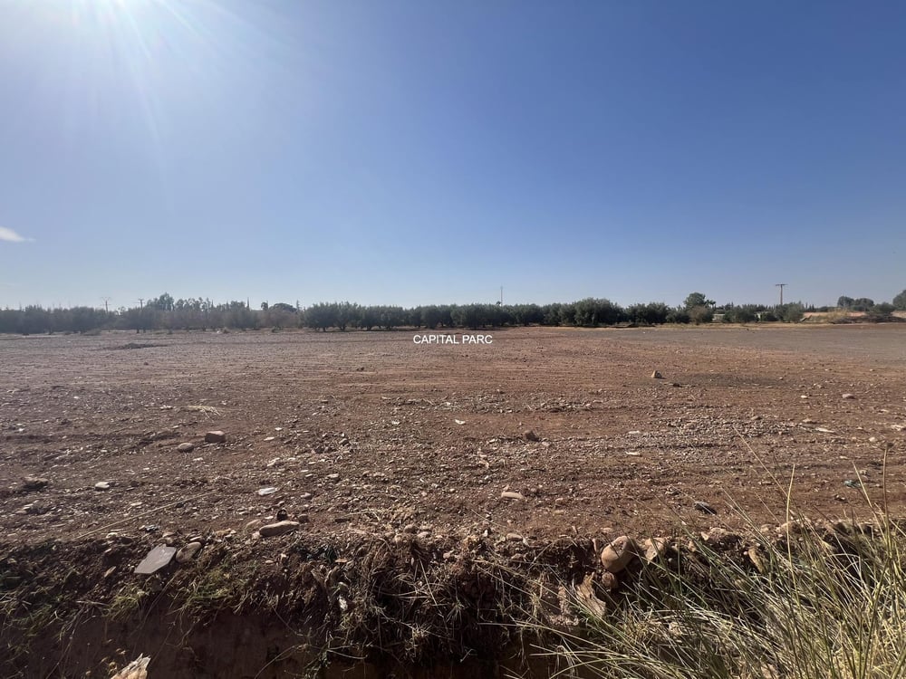 Terrain constructible 2,8 ha à vendre, route Ourika, Marrakech — photo 5
