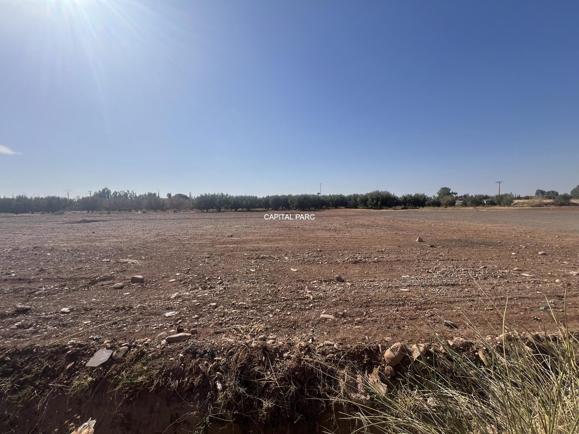 Terrain constructible 2,8 ha à vendre, route Ourika, Marrakech — miniature 5