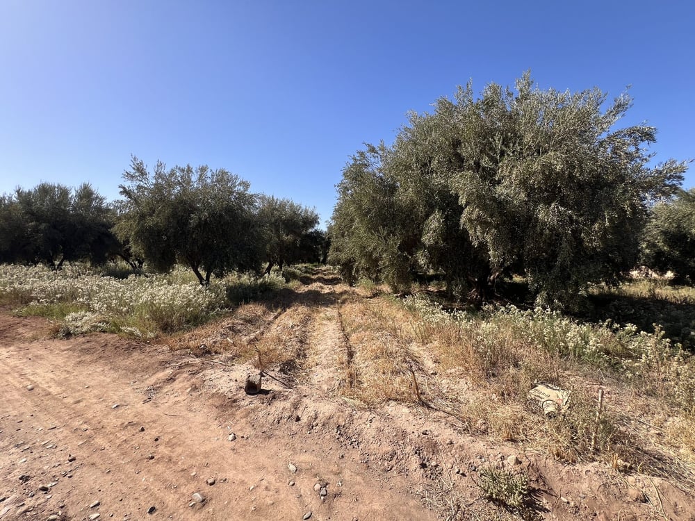 Terrain 3,5 ha SD2 à vendre, Route Tahanaoute, Marrakech — photo 3