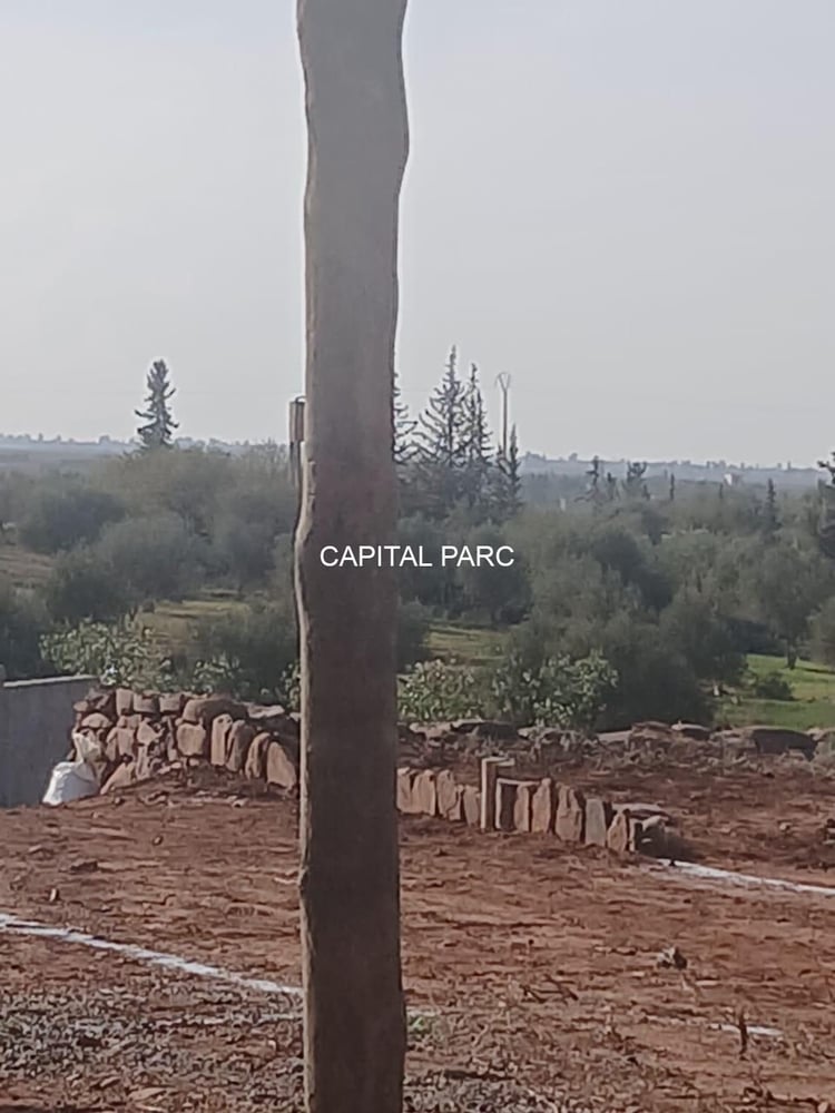 Terrain 7200 m² à vendre, route Ourika, Marrakech — photo 2