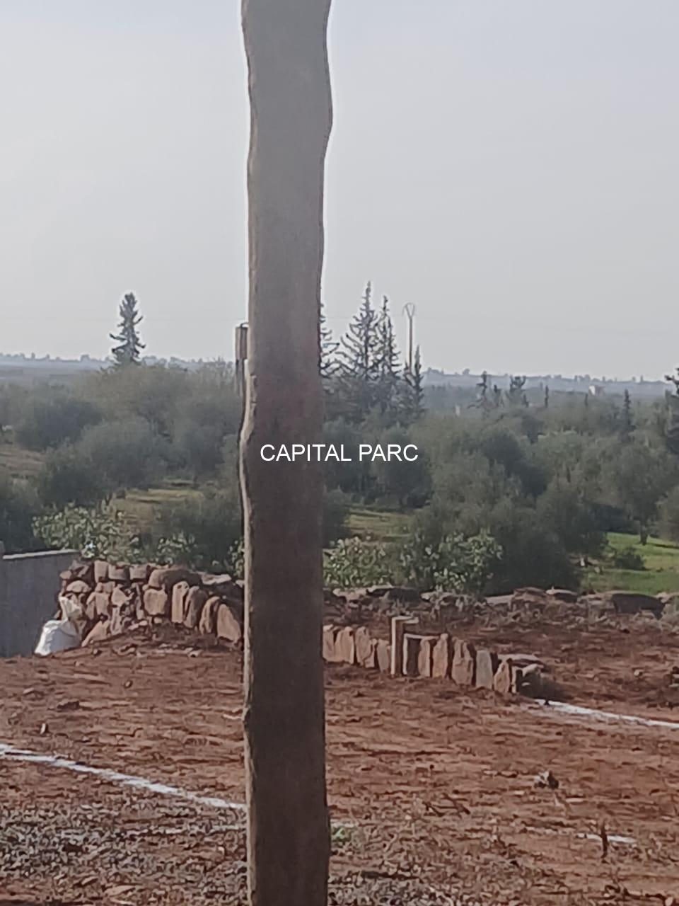 Terrain 7200 m² à vendre, route Ourika, Marrakech — miniature 2