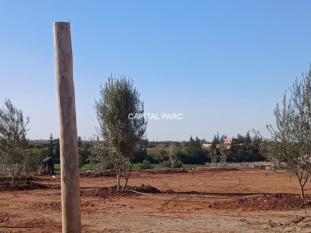 Terrain 7200 m² à vendre, route Ourika, Marrakech — photo 3