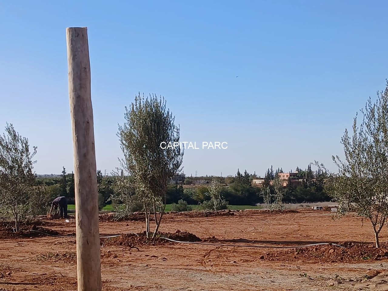 Terrain 7200 m² à vendre, route Ourika, Marrakech — miniature 3