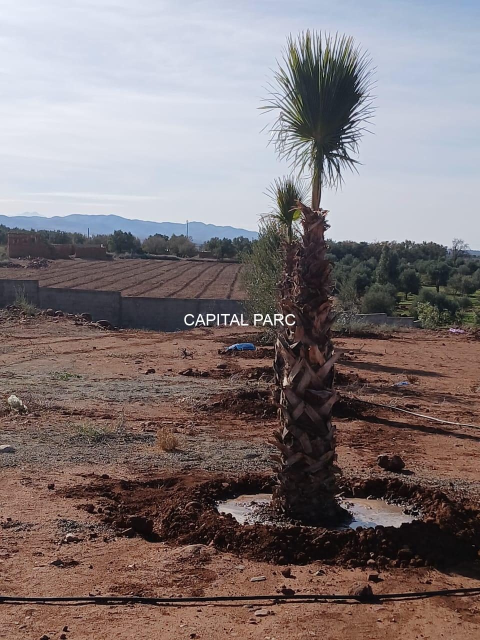 Terrain 7200 m² à vendre, route Ourika, Marrakech — miniature 5