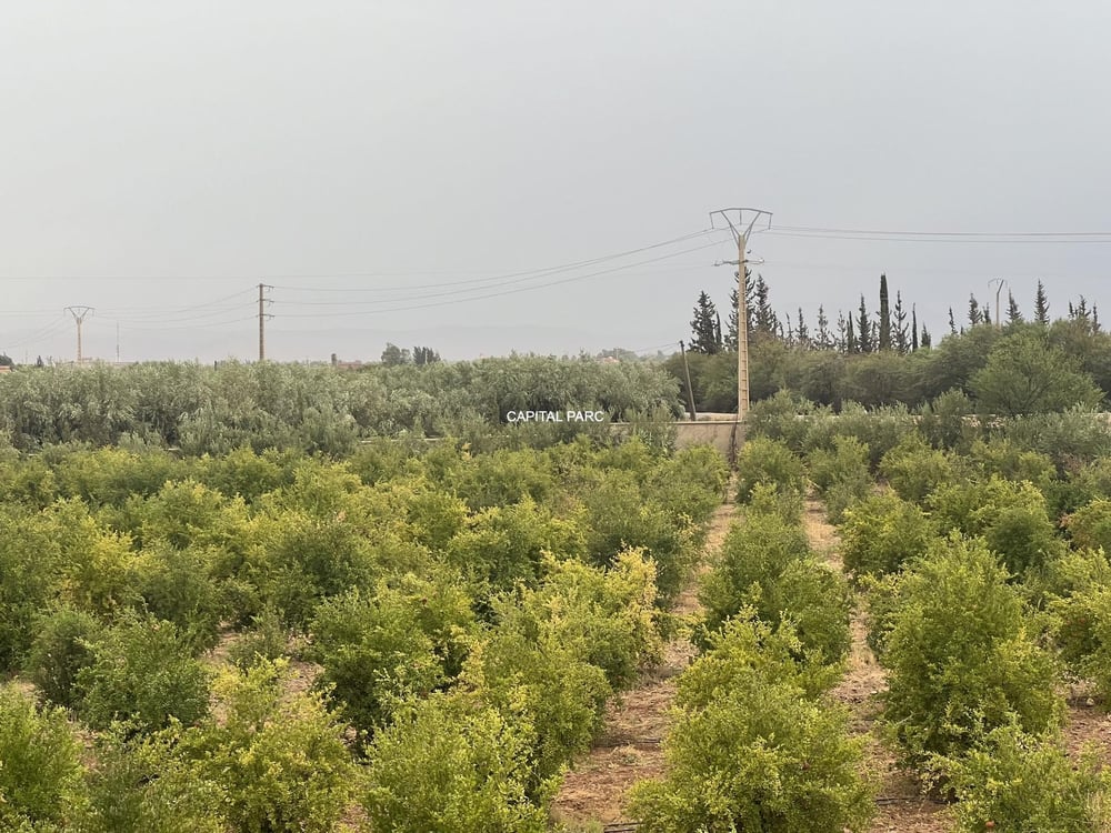 Villa 300 m² avec piscine 1 ha, à vendre Route Ourika Marrakech — photo 18