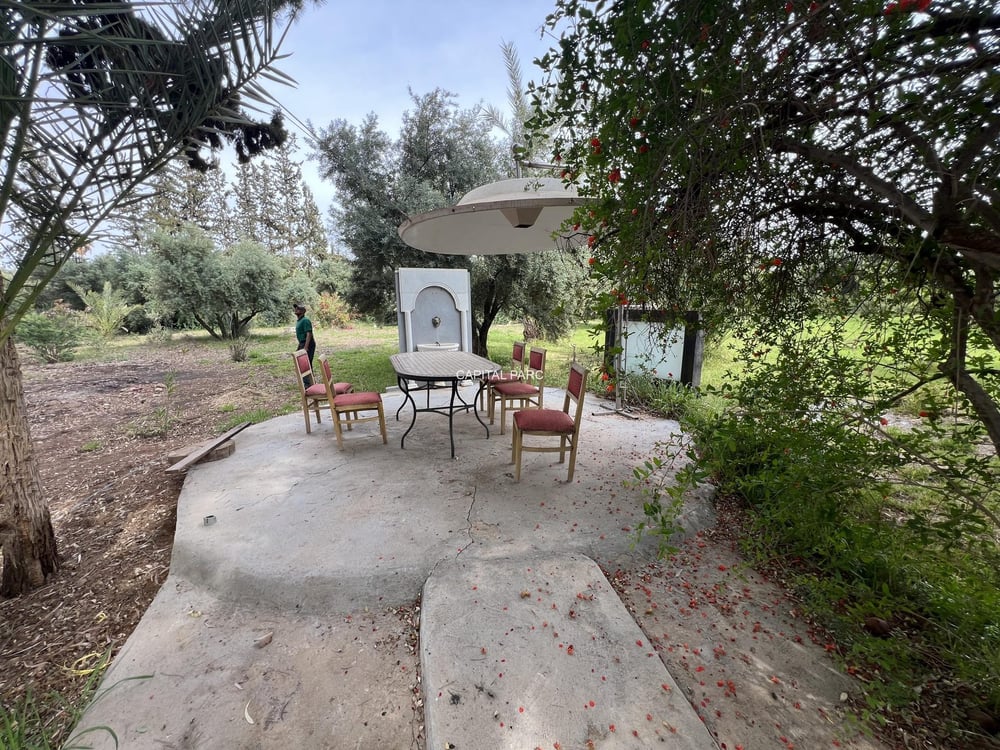 Villa d'exception sur 1,13 ha – Route de Ouarzazate, Marrakech — photo 3