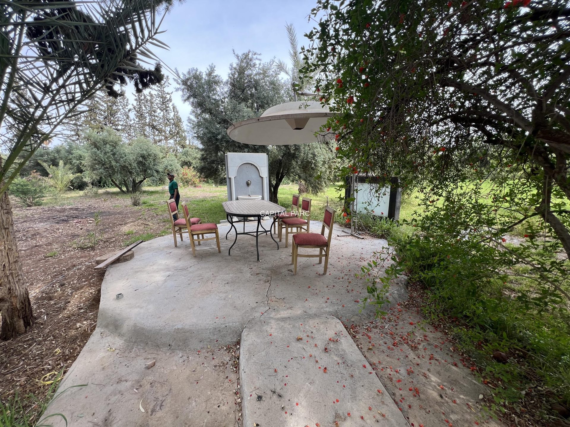 Villa d'exception sur 1,13 ha – Route de Ouarzazate, Marrakech — miniature 3