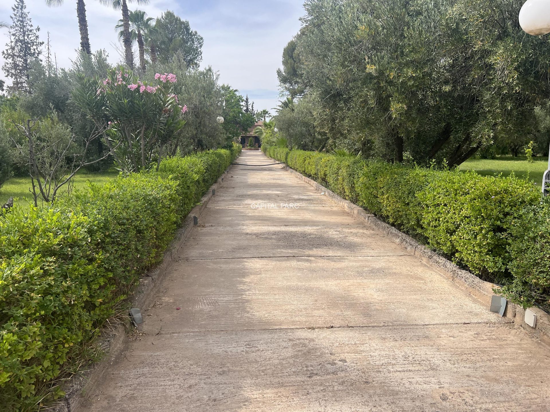 Villa d'exception sur 1,13 ha – Route de Ouarzazate, Marrakech — miniature 25