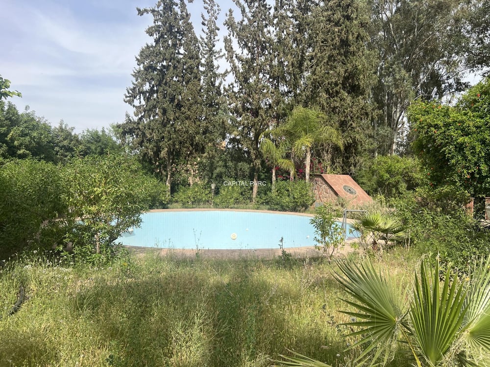 Villa d'exception sur 1,13 ha – Route de Ouarzazate, Marrakech — photo 4