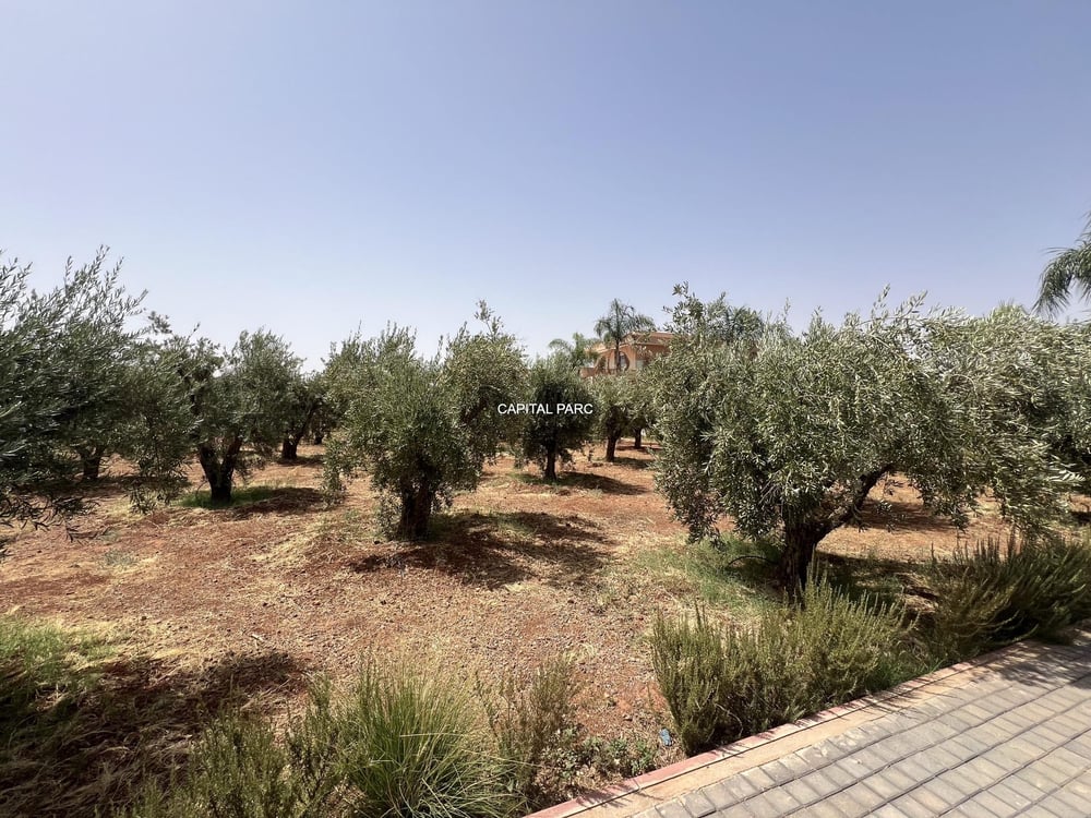 Villa moderne 460 m² à vendre, Route du Barrage, Marrakech — photo 20