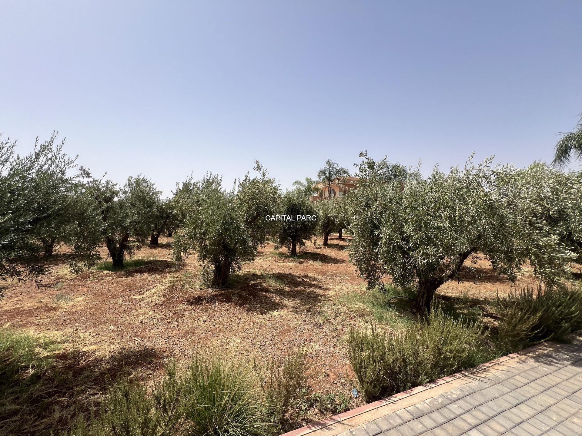 Villa moderne 460 m² à vendre, Route du Barrage, Marrakech — miniature 20