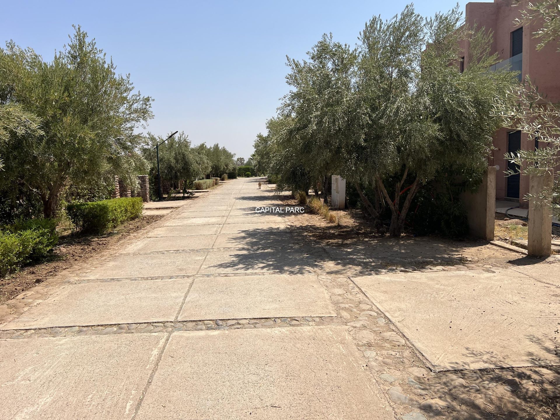 Villa semi-finie 350 m² à vendre, Route Ouarzazate Marrakech — miniature 2