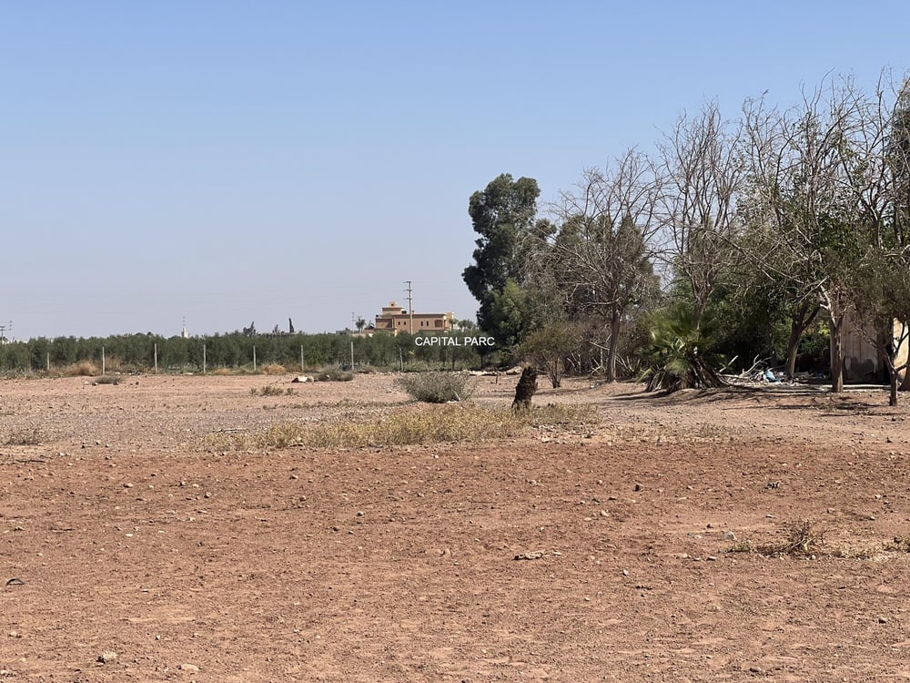 Terrain à vendre 3,15 ha lotissement, Route Amizmiz Marrakech — photo 4