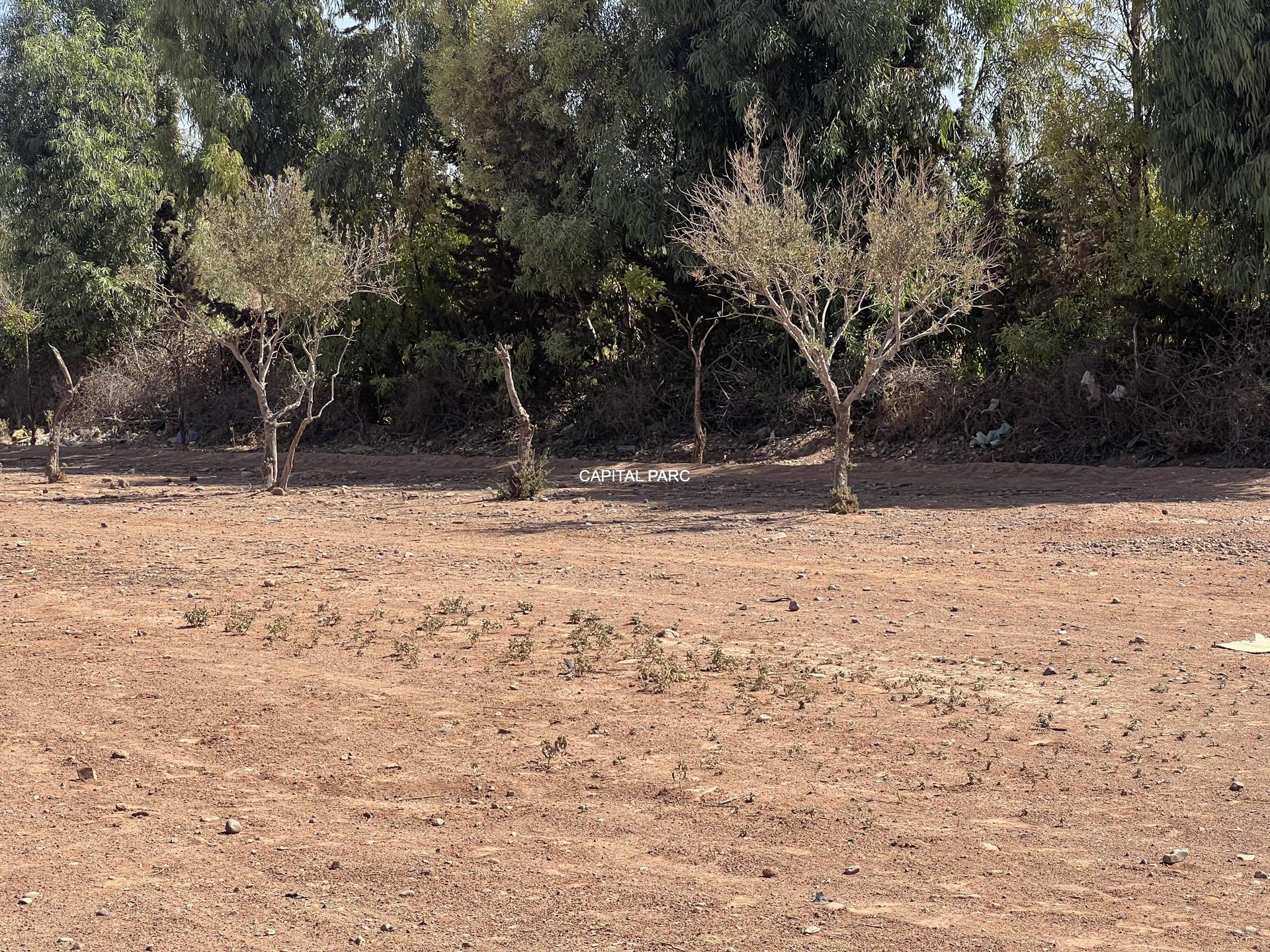 Terrain à vendre 3,15 ha lotissement, Route Amizmiz Marrakech — miniature 6