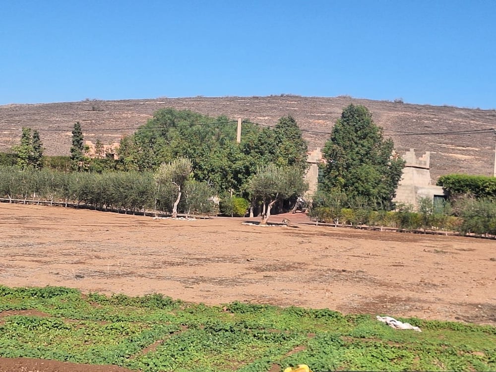 Villa semi-finie à vendre, 400 m² sur 1 ha, Marrakech Annakhil — photo 2