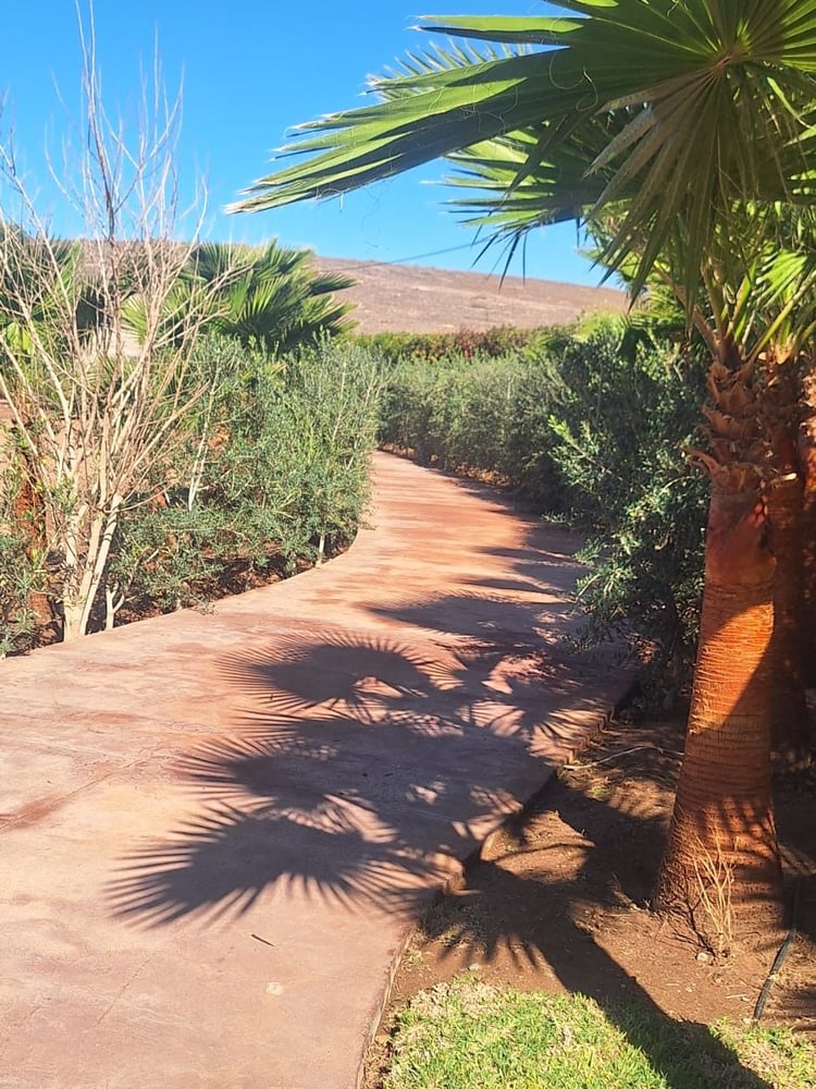 Villa semi-finie à vendre, 400 m² sur 1 ha, Marrakech Annakhil — photo 3