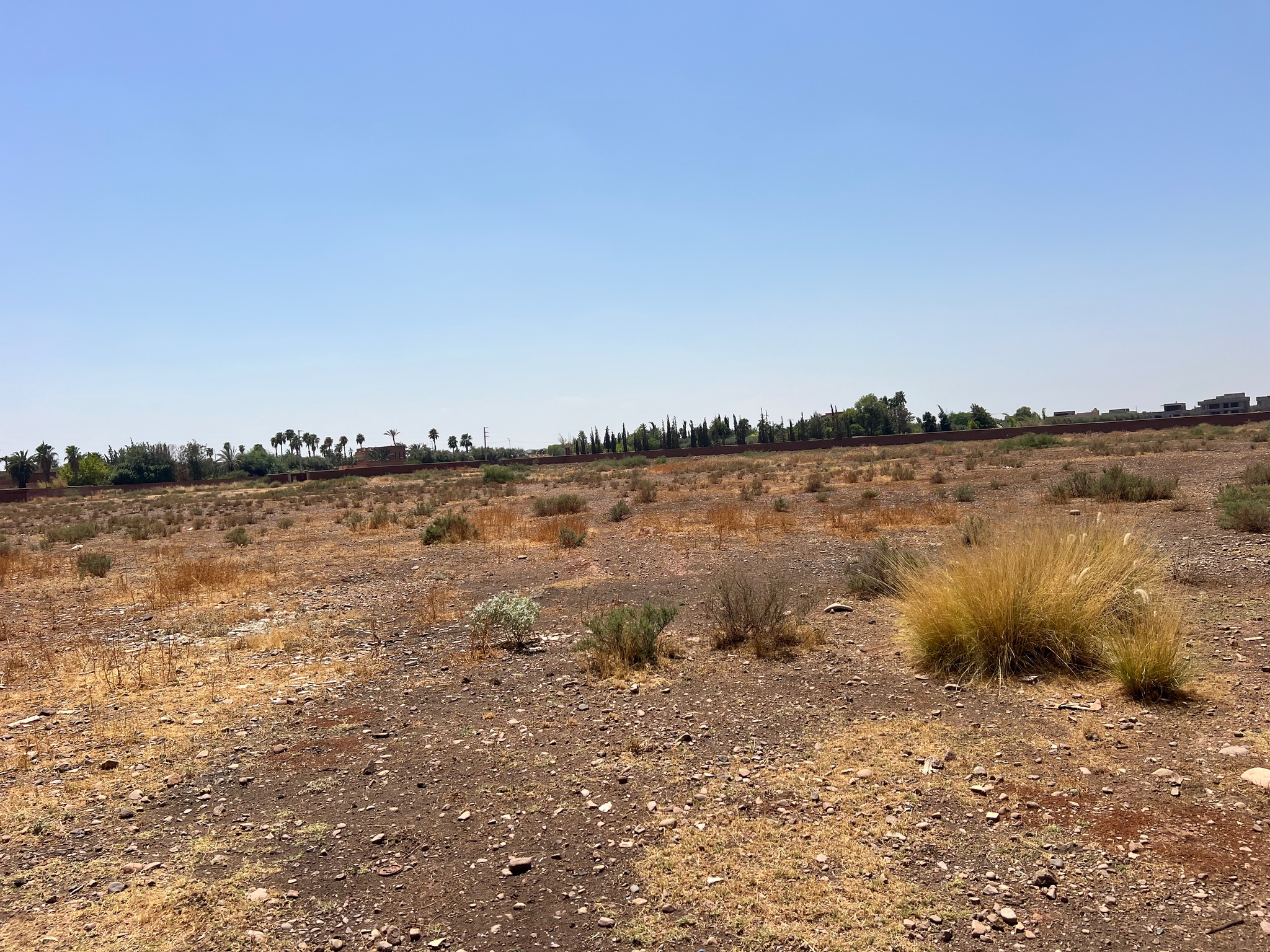 Vente / Achat : Terrain SD1 , 5 ha , Marrakech , route ourika  — miniature 5