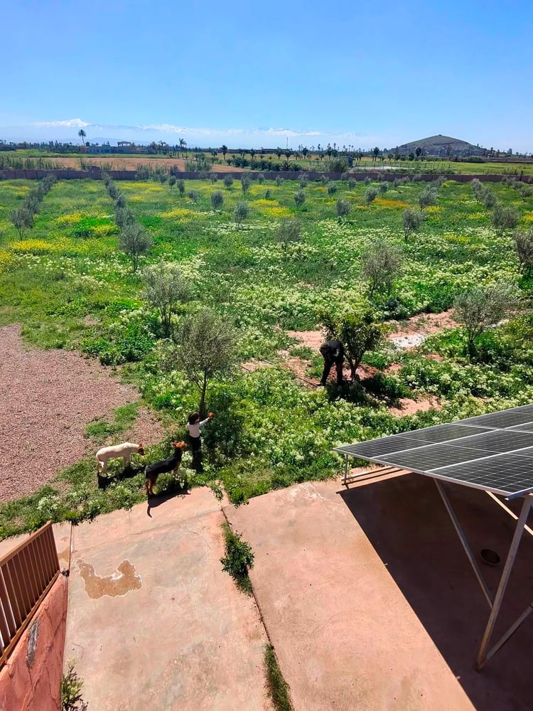 Ferme à vendre avec maison , (VNA ) déjà existante , Marrakech, route de  Fès  — photo 11