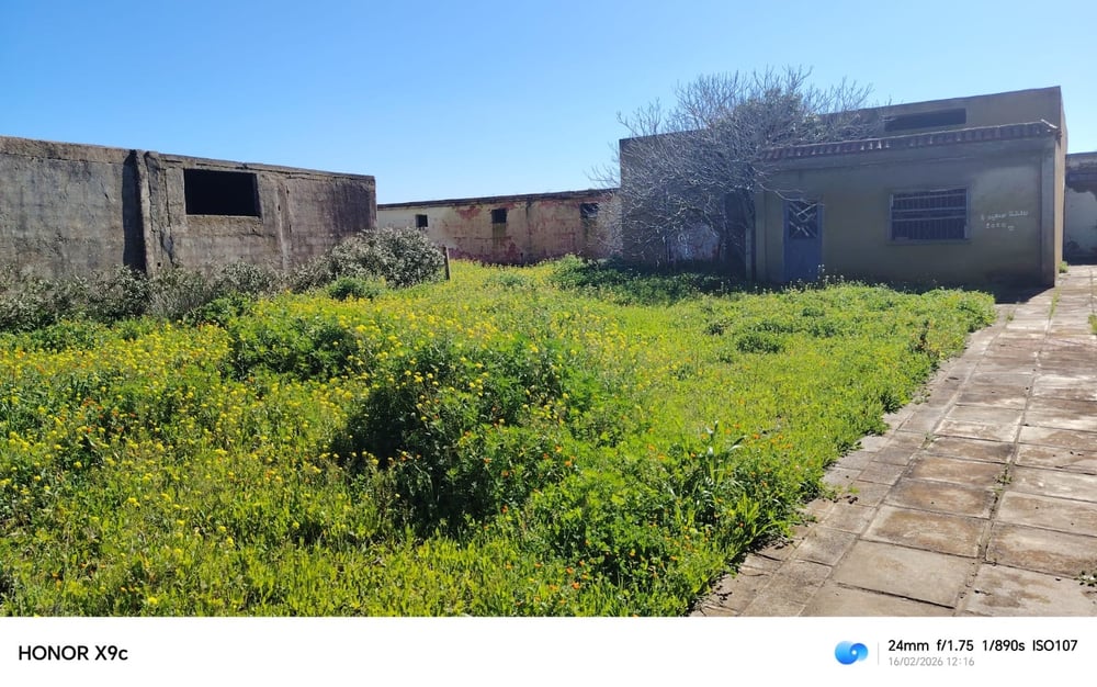 Exceptionnelle ferme agricole à vendre, Ouled Yahya, Benslimane — photo 11