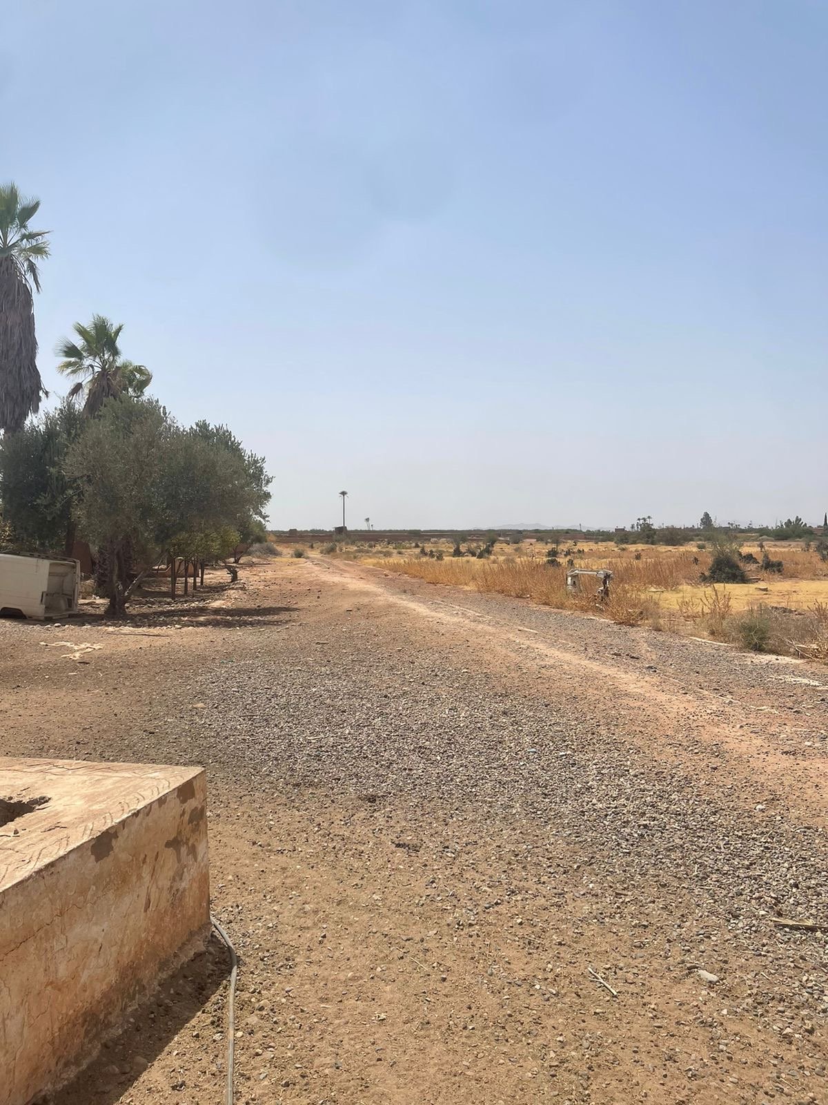 Terrain titré 10 ha à vendre, Route de Fès, Marrakech — miniature 5