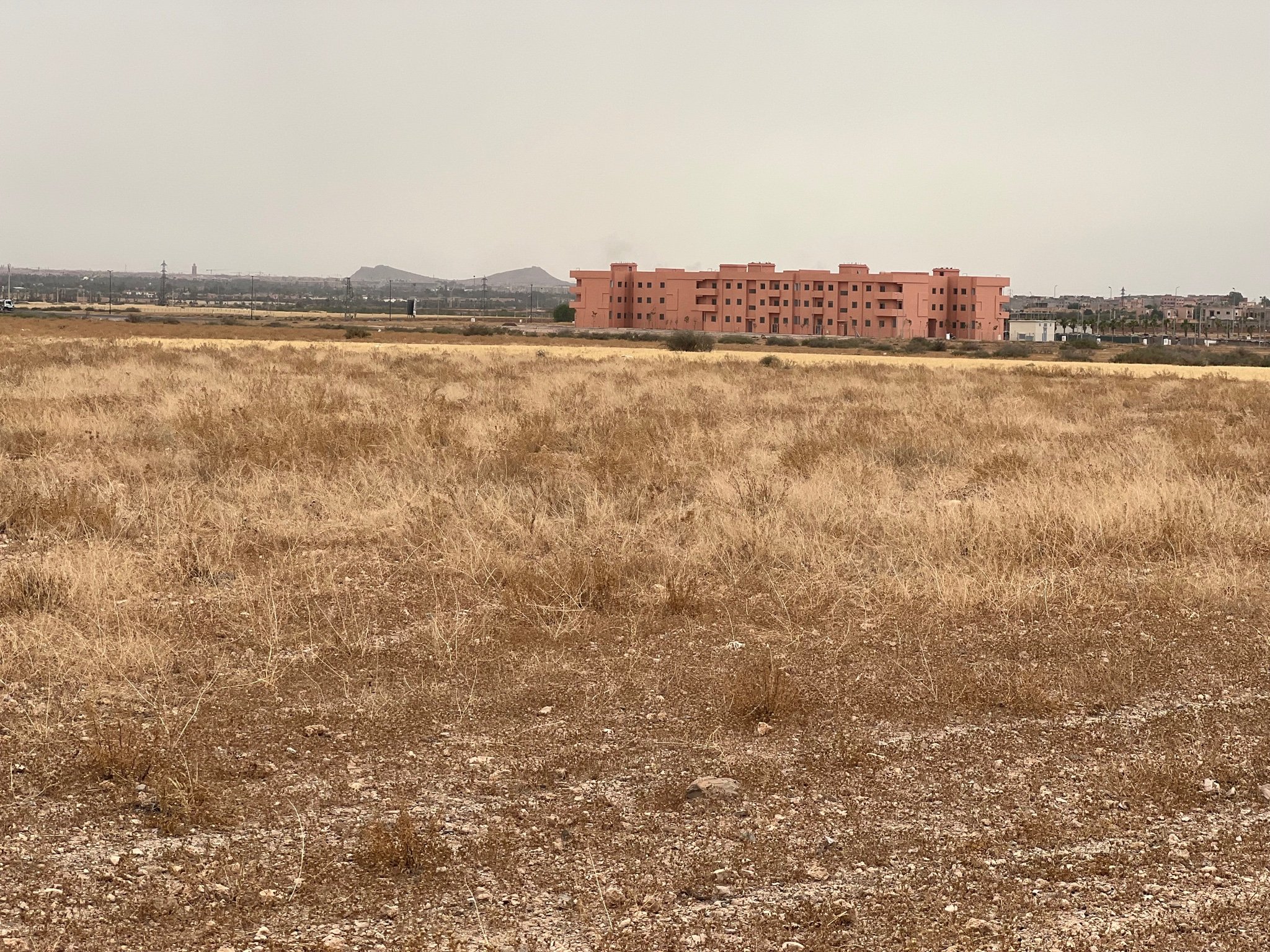 Terrain immeuble 5 ha à vendre, Rmila Marrakech — miniature 3