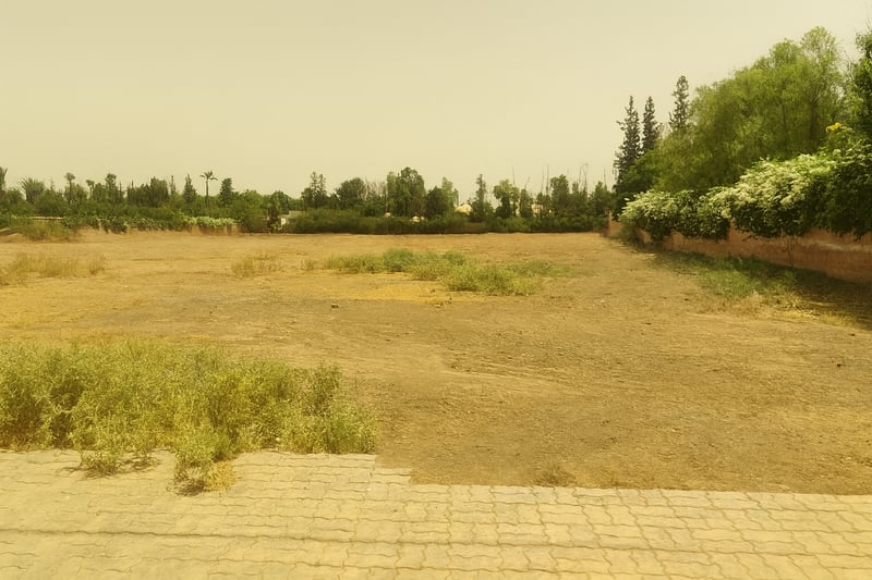 Terrain 1 ha à vendre Palmeraie, Marrakech — Terrain, Marrakech