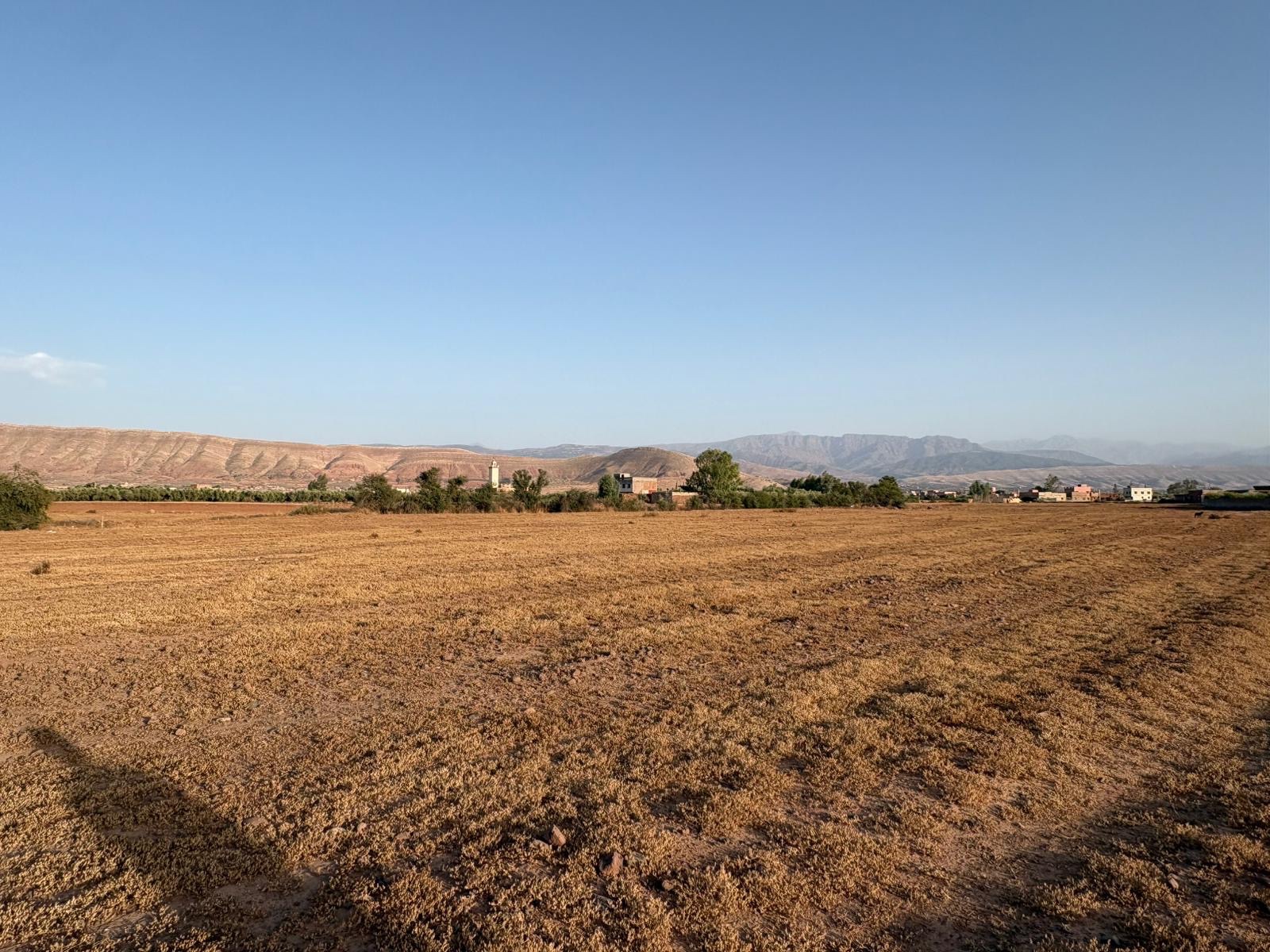 Terrain agricole 1,8 ha à vendre, Route Ouarzazate, Marrakech — miniature 4